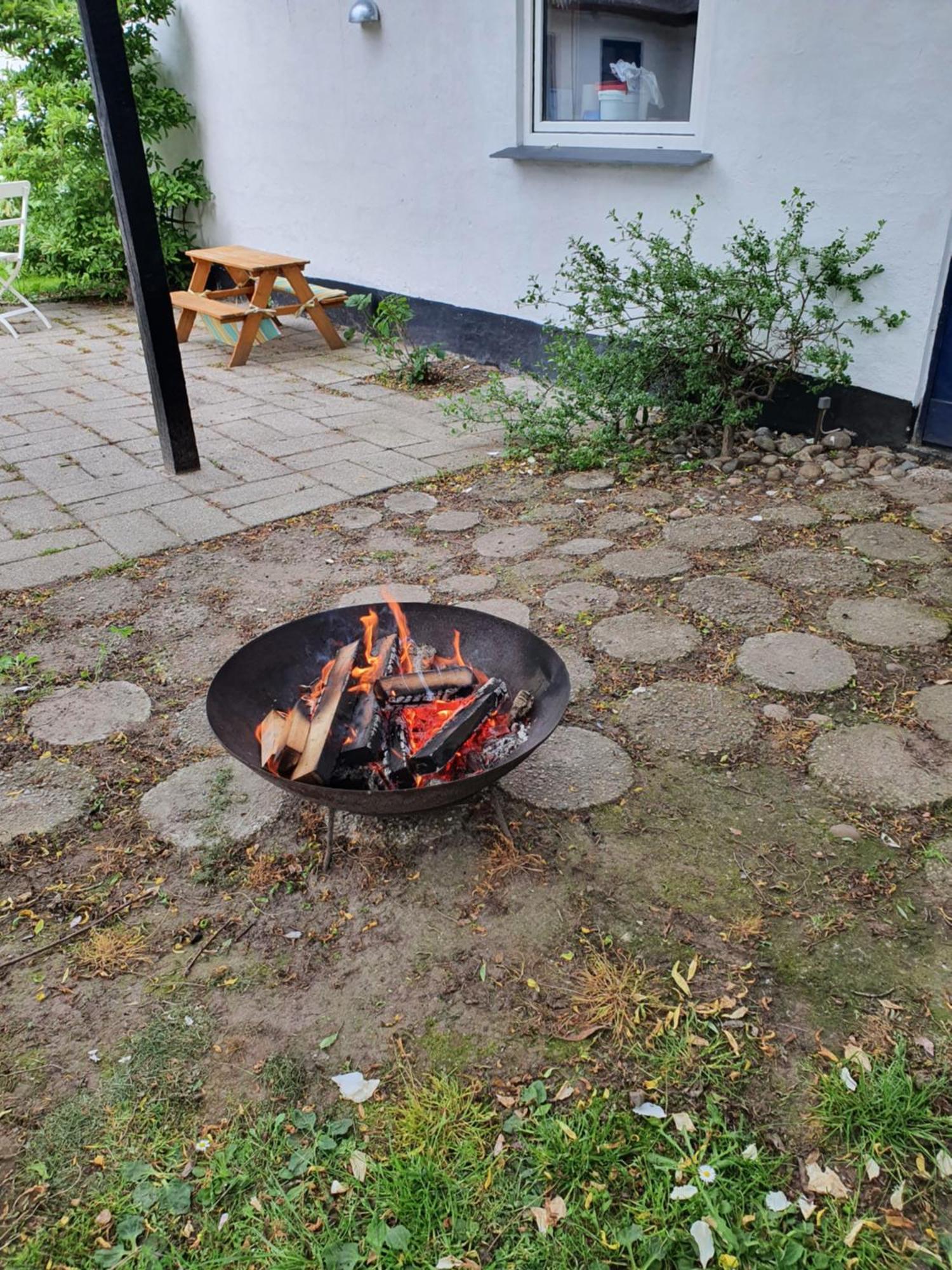 Pegasus Bed & Breakfast Hillerød Eksteriør billede