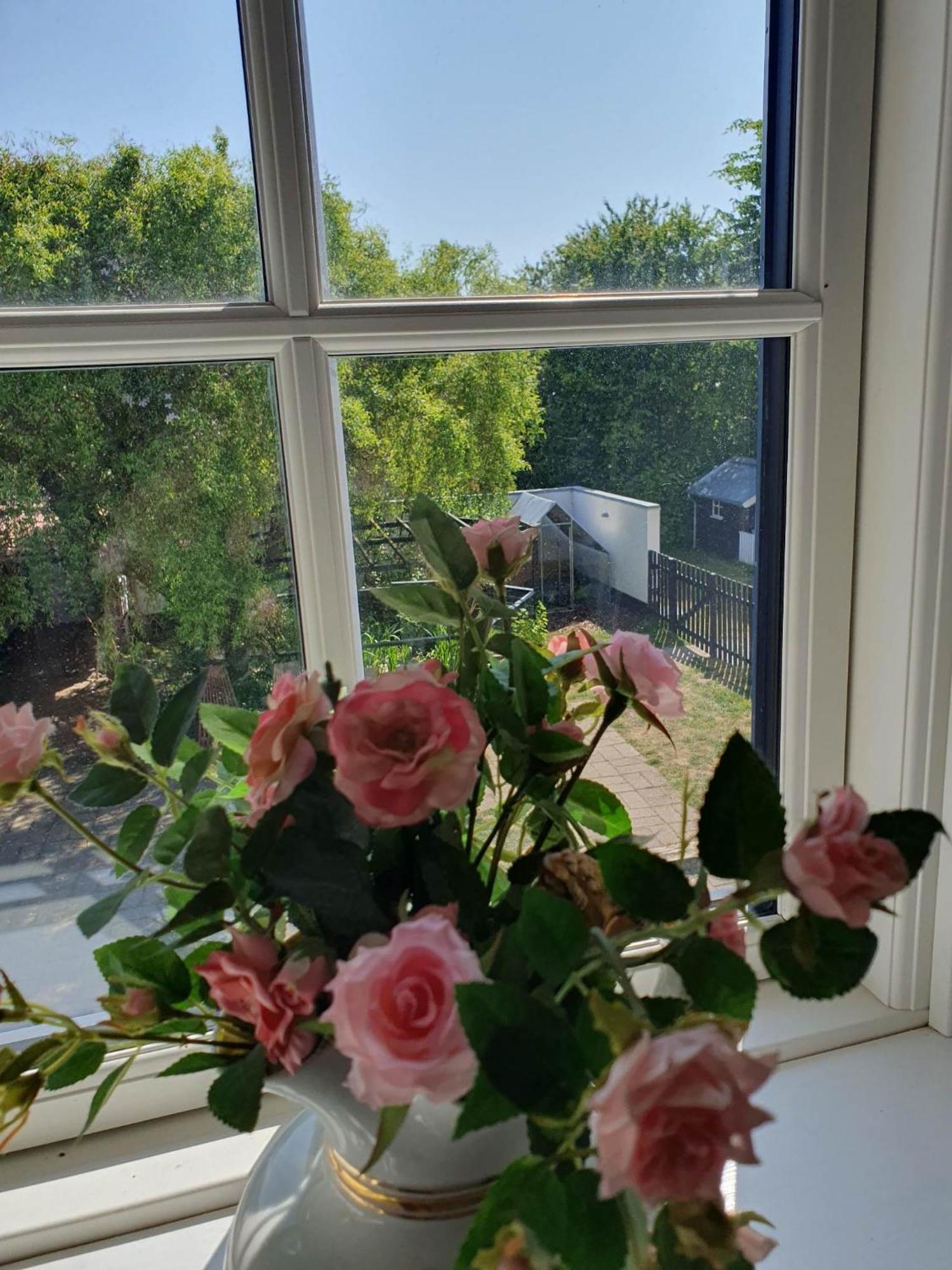 Pegasus Bed & Breakfast Hillerød Eksteriør billede