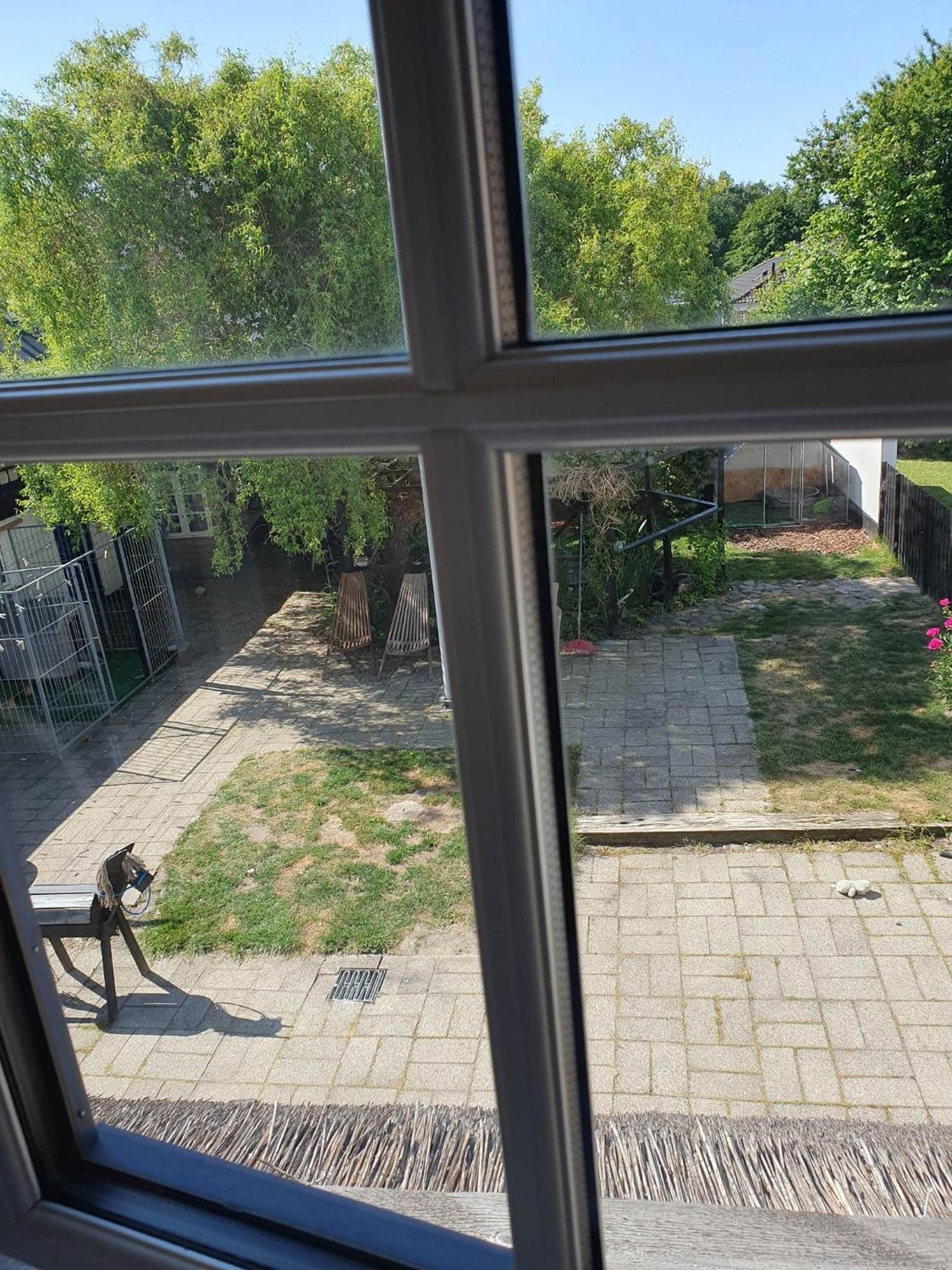 Pegasus Bed & Breakfast Hillerød Eksteriør billede