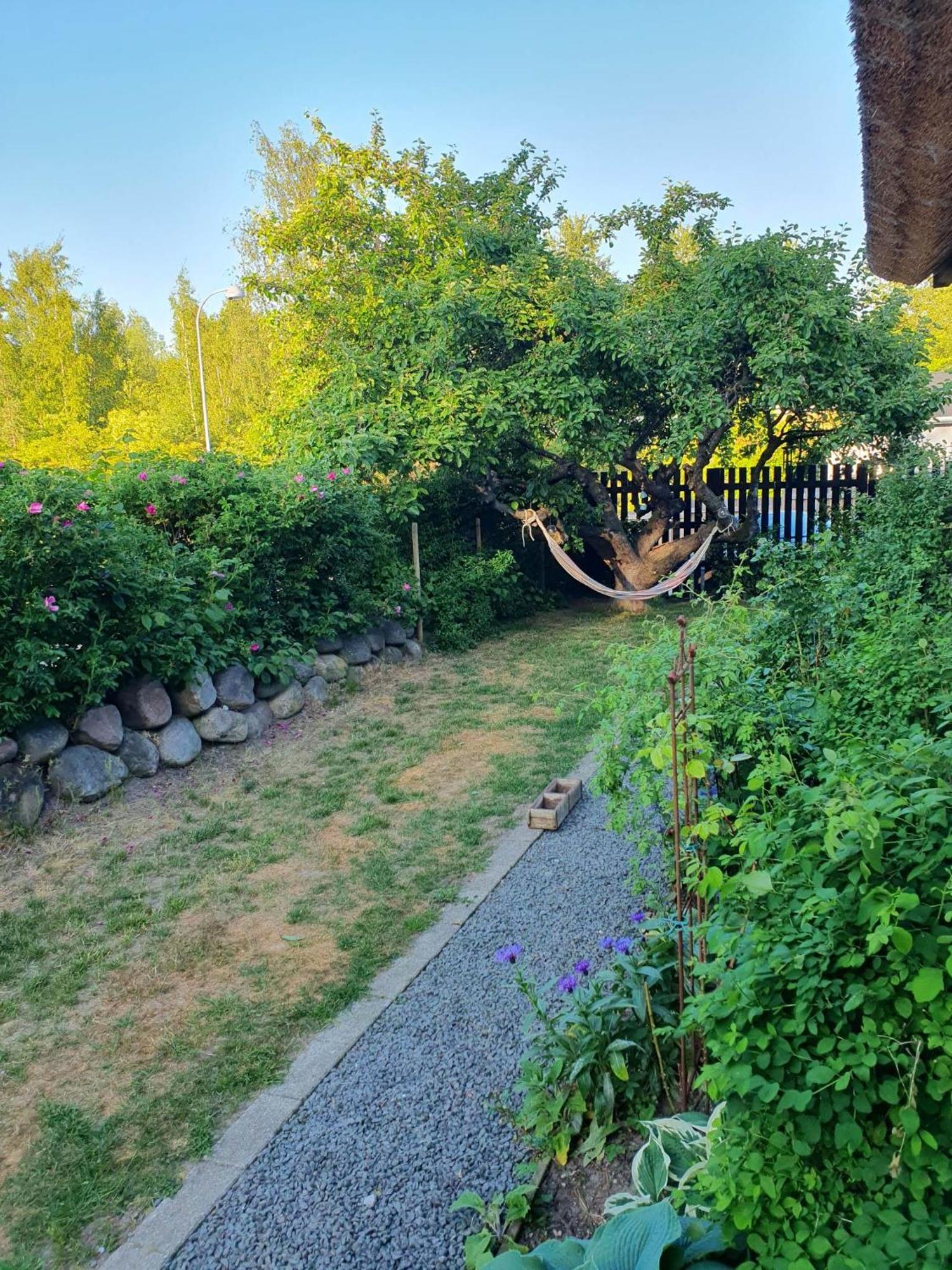 Pegasus Bed & Breakfast Hillerød Eksteriør billede